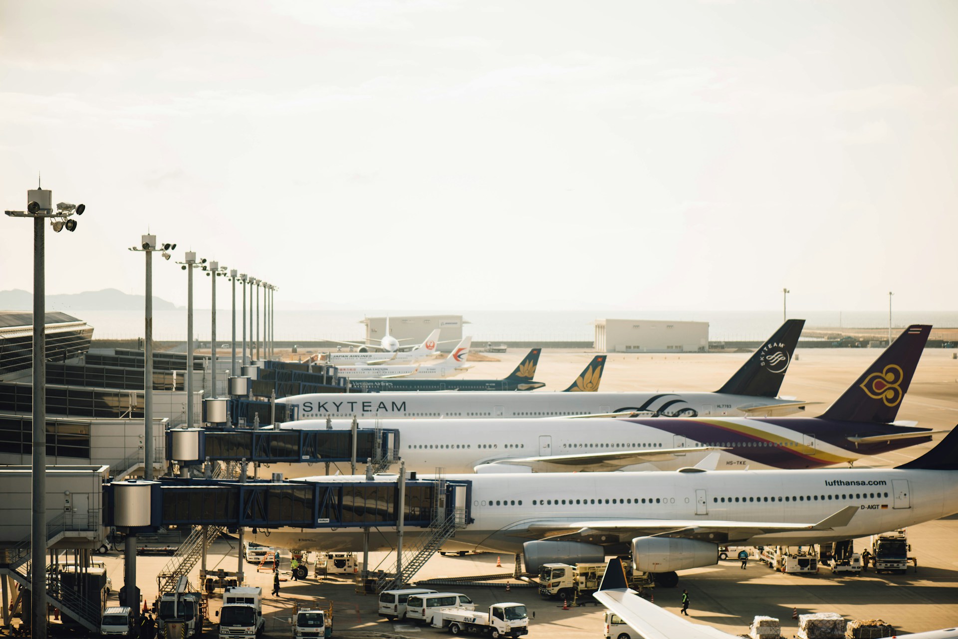 airlines